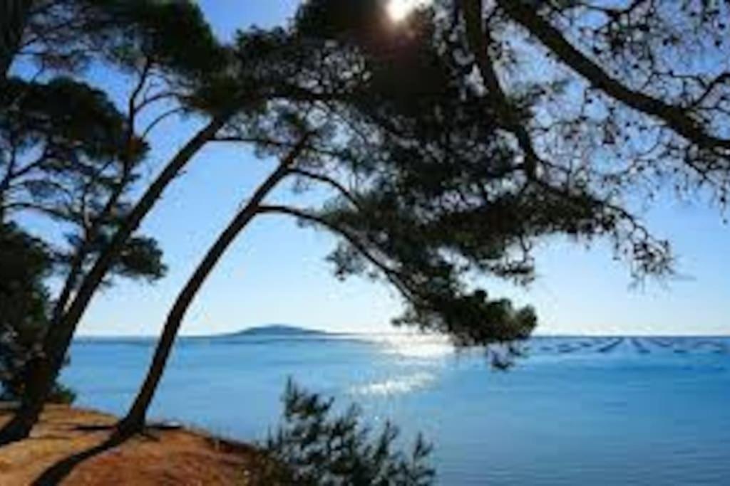 Appartement Cosy A 50 M De La Plage Et Du Port Meze Bagian luar foto
